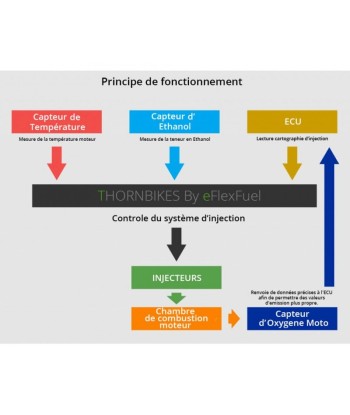 EFLEX PLUS THORN-BIKES conversion bioéthanol E85 Venez découvrir notre 